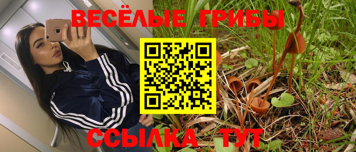 Новосибирск  Псилоцибиновые грибы мицелий  Вход с VPN 