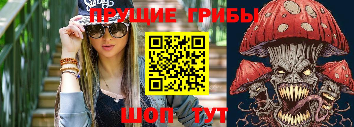 Псилоцибиновые грибы Cubensis Новосибирск